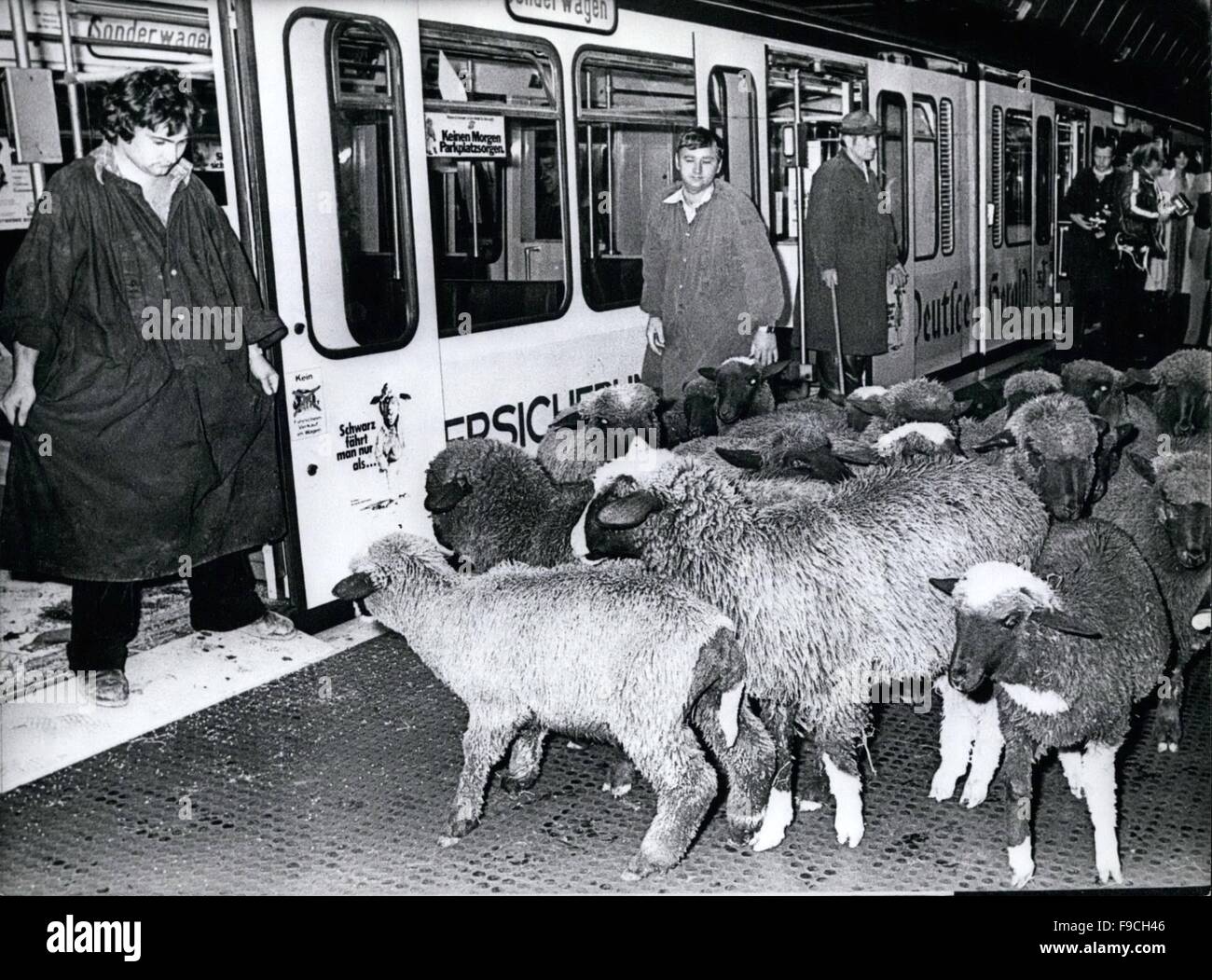 1964 - das "schwarze Schaf" zu konvertieren. lautete das Motto einer Aktion, die deutsche Hauptstadt Bonn, gegen ihre Schwarzfahrer begonnen hatte. Spektakulärste Start war die symbolische Extra-Fahrt 20 schwarze Schafe in der Sub-Weg, Tarif ausweichen ist kein Kavaliersdelikt, denn nur in der Hauptstadt ist der jährliche Verlust der Tarif über 2 Millionen D-Mark und der ehrliche Bürger mehr zahlen müssen. © Keystone Bilder USA/ZUMAPRESS.com/Alamy Live-Nachrichten Stockfoto