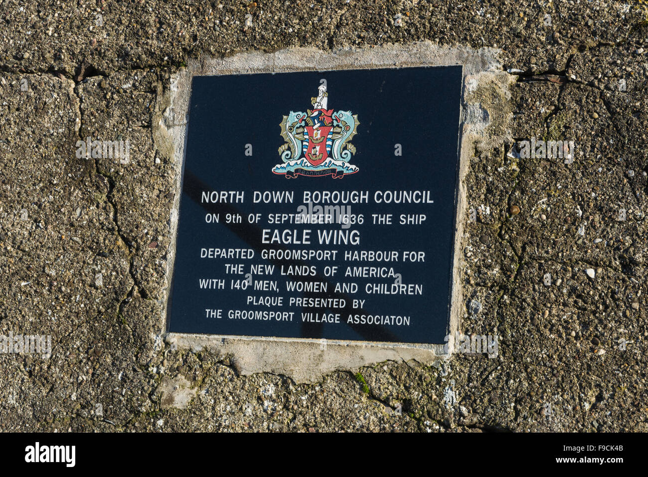 Eagle Wing plaque Stockfoto