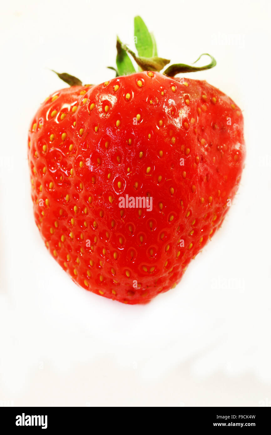 Köstliche Frucht Erdbeere fotografiert Closeup auf weißem Hintergrund Stockfoto