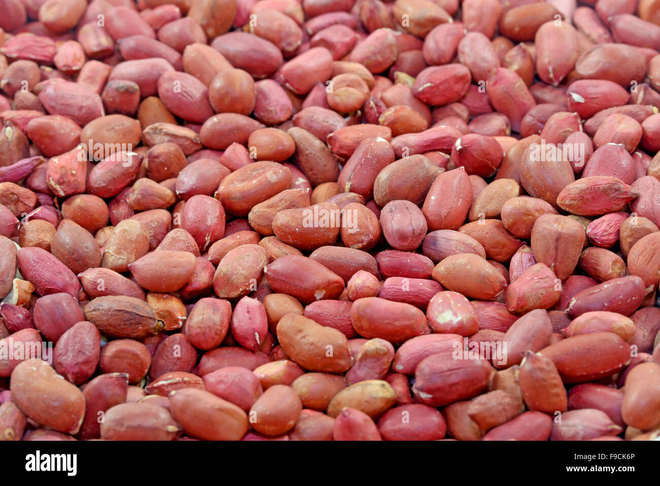 Leckeren Nüssen Erdnüssen eine fotografierten hautnah Stockfoto