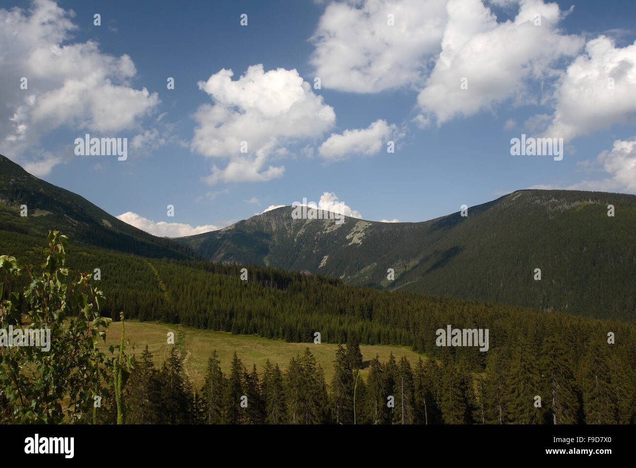 Riesengebirge Stockfoto