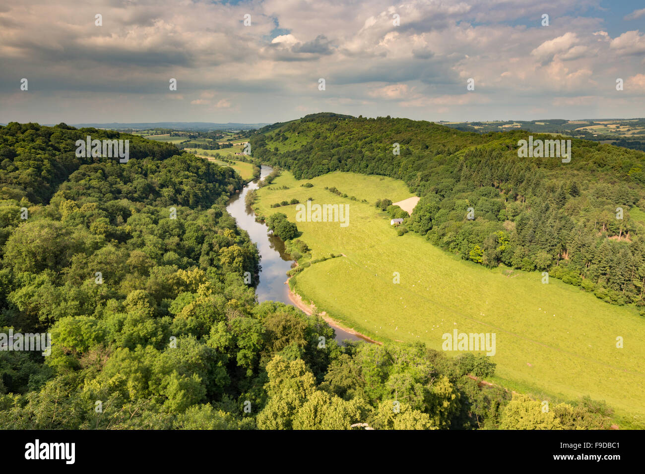 Das Wye Valley von Symonds Yat Rock, Herefordshire, England, UK Stockfoto