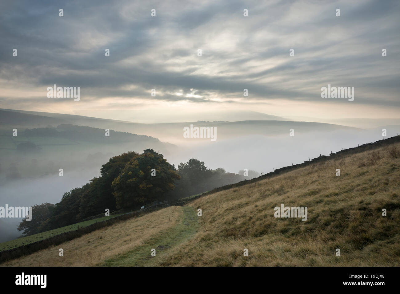 Nebligen Herbstmorgen in den Hügeln in der Nähe von Hayfield im Peak District, Derbyshire, England. Stockfoto