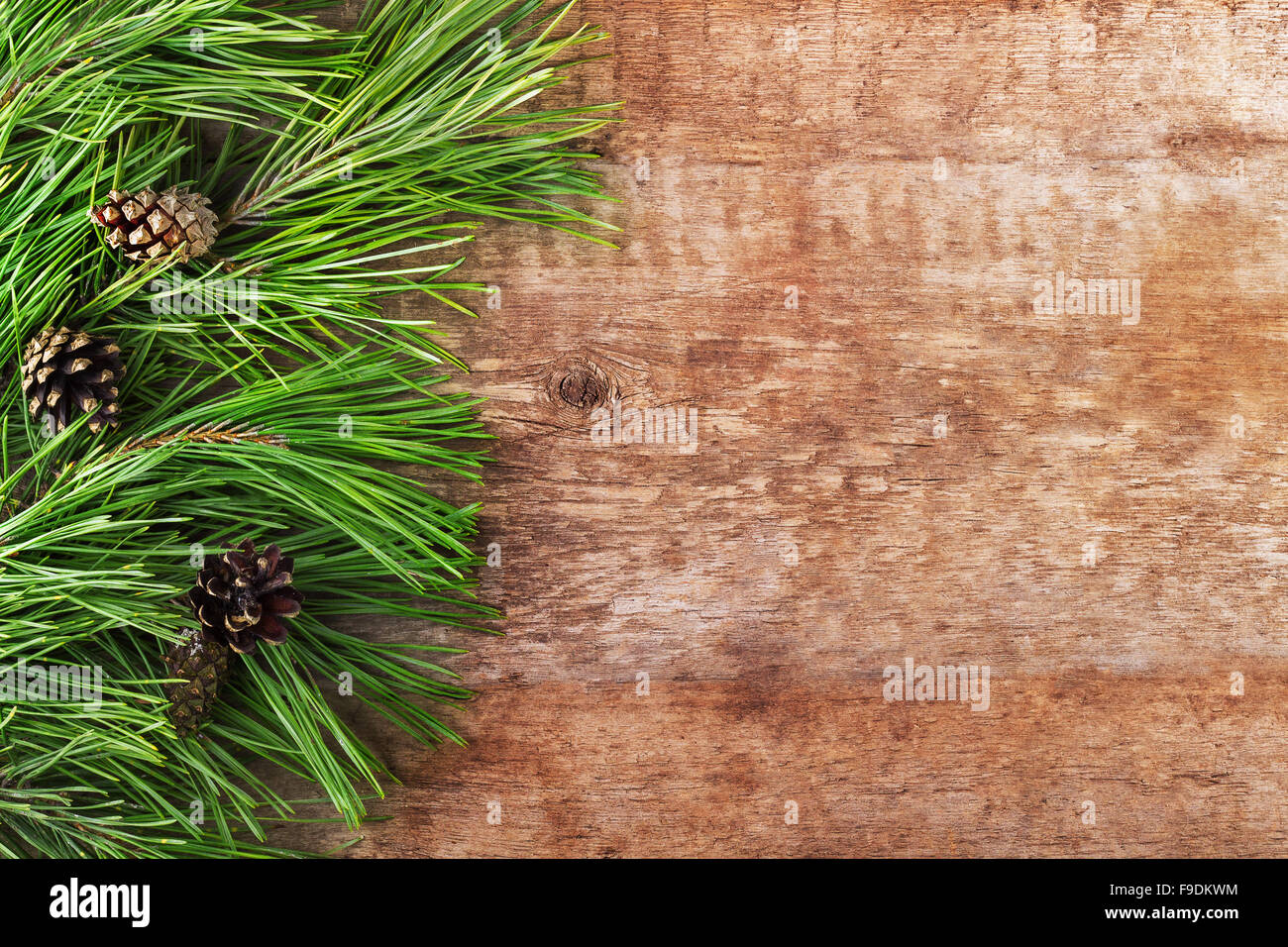 Weihnachtsbaum und Zapfen auf einem hölzernen Hintergrund mit Platz für text Stockfoto