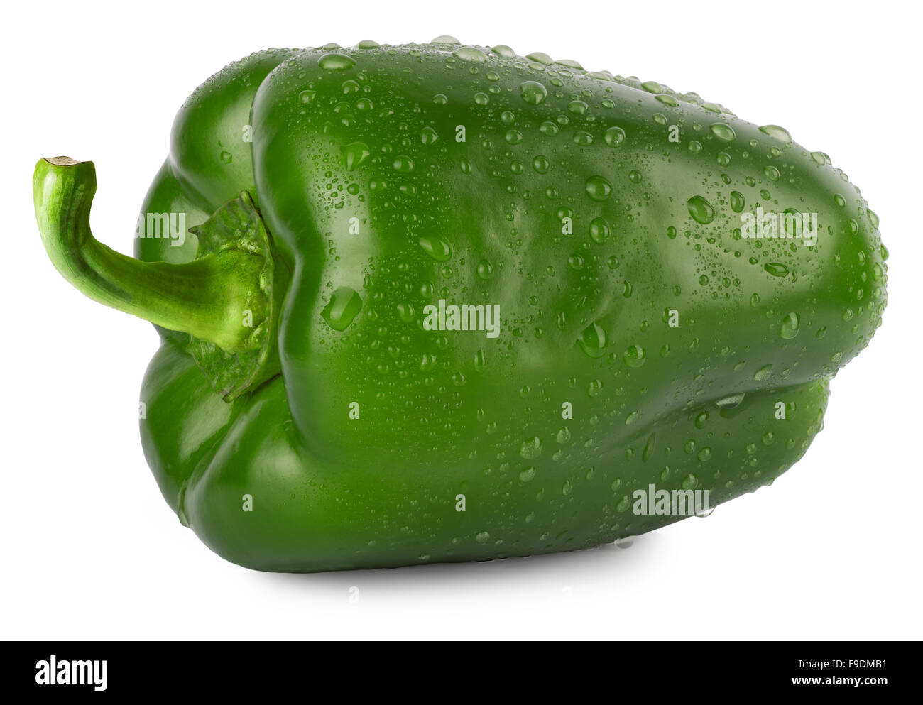 grüne Paprika mit Wassertropfen isoliert auf weißem Hintergrund Stockfoto