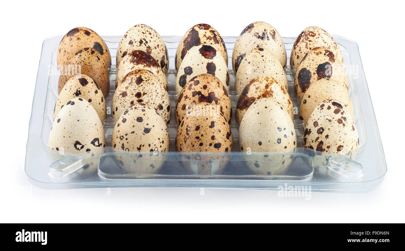 Tablett mit Wachteln Eiern Closeup isoliert Blick auf weißem Hintergrund Stockfoto
