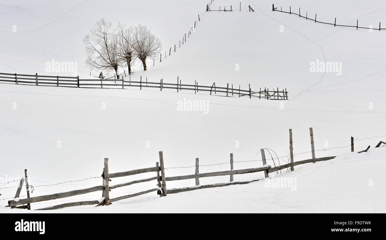 Winterlandschaft im rumänischen Bergen Stockfoto