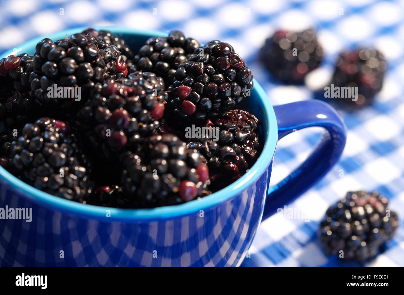 Brombeeren in blauen Tasse auf karierte Tischdecke Stockfoto
