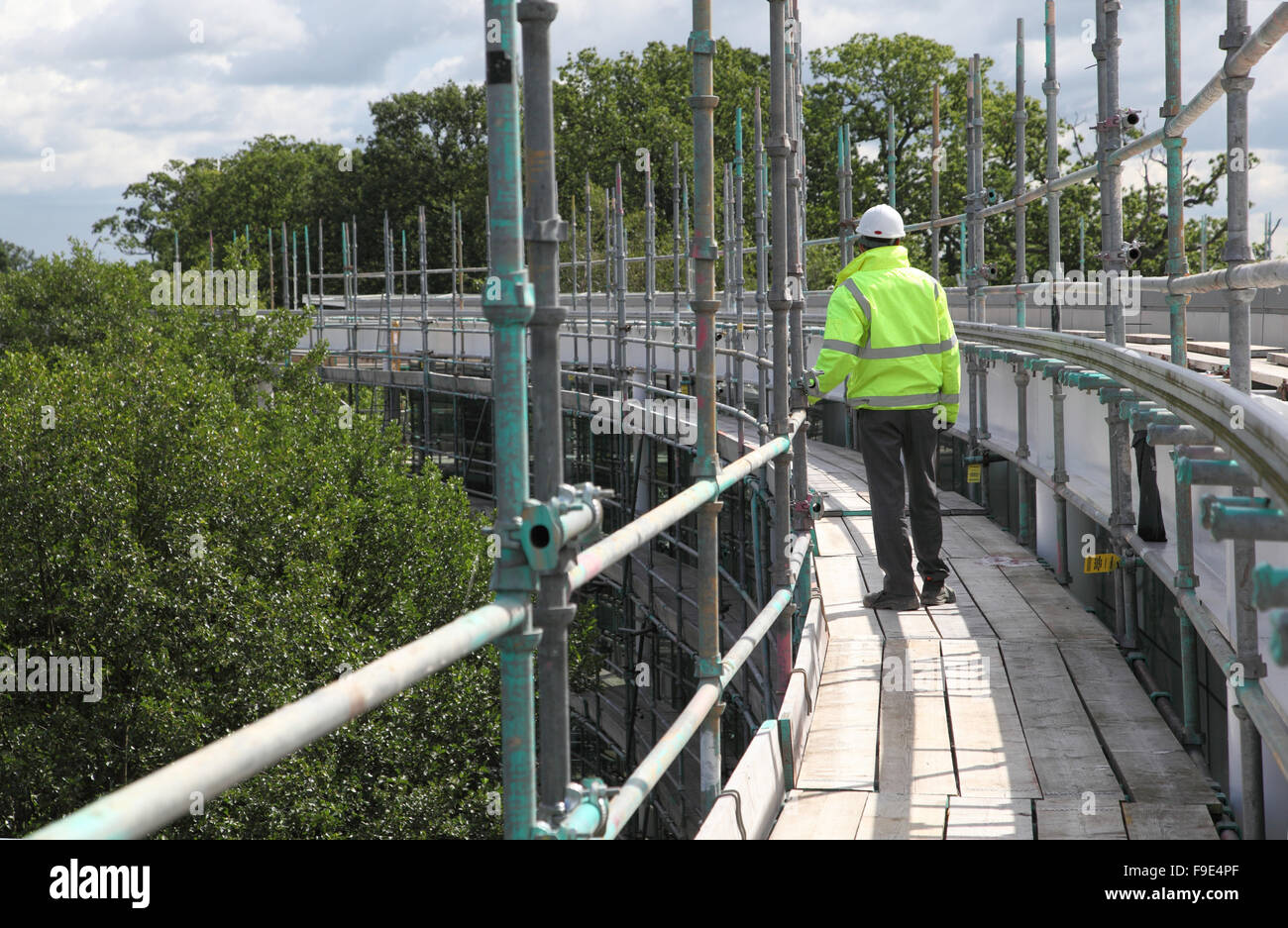 Ein Bauarbeiter steht auf einer gekrümmten Gerüststruktur rund um ein Bürogebäude in einem Waldgebiet Stockfoto