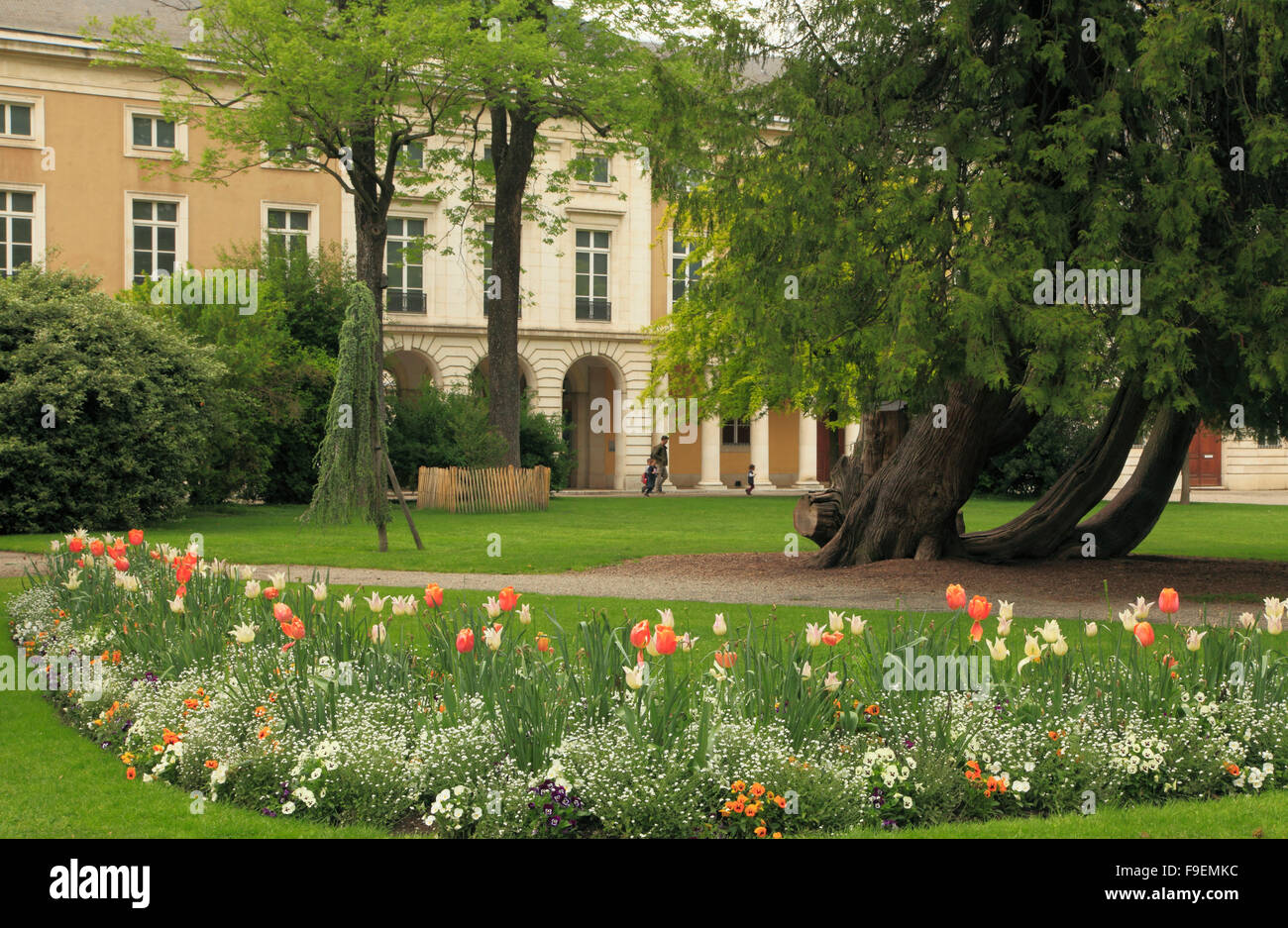 Frankreich Rhône-Alpes Grenoble Jardin des Plantes Botanischer Garten Stockfoto