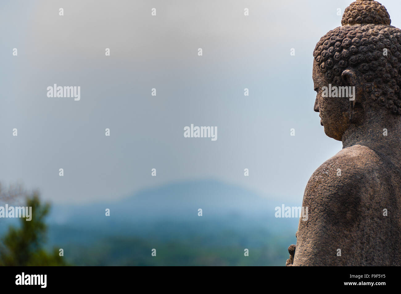 Sitzender Buddha aus Stein über dem Dschungel am Borobudur meditieren Stockfoto