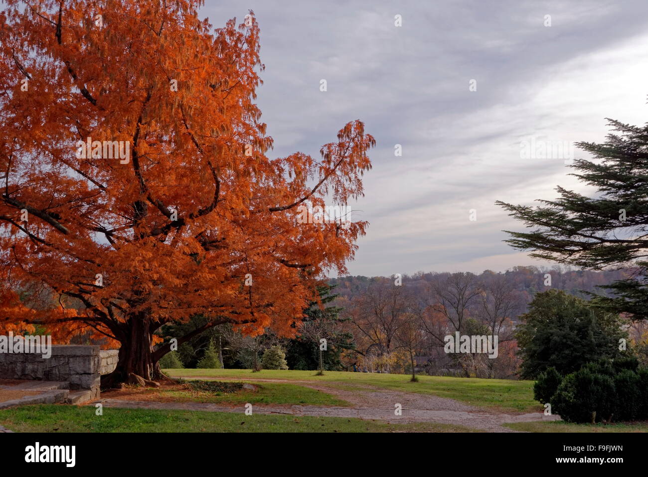 Herbst Laub, Maymont Park, Richmond, VA Stockfoto