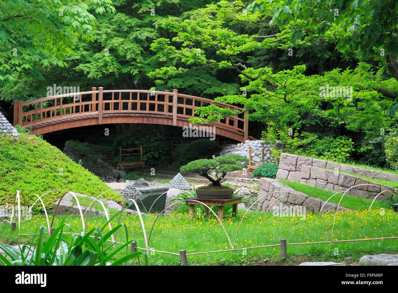 Frankreich, Paris, Albert Kahn Museum, japanischer Garten, Stockfoto