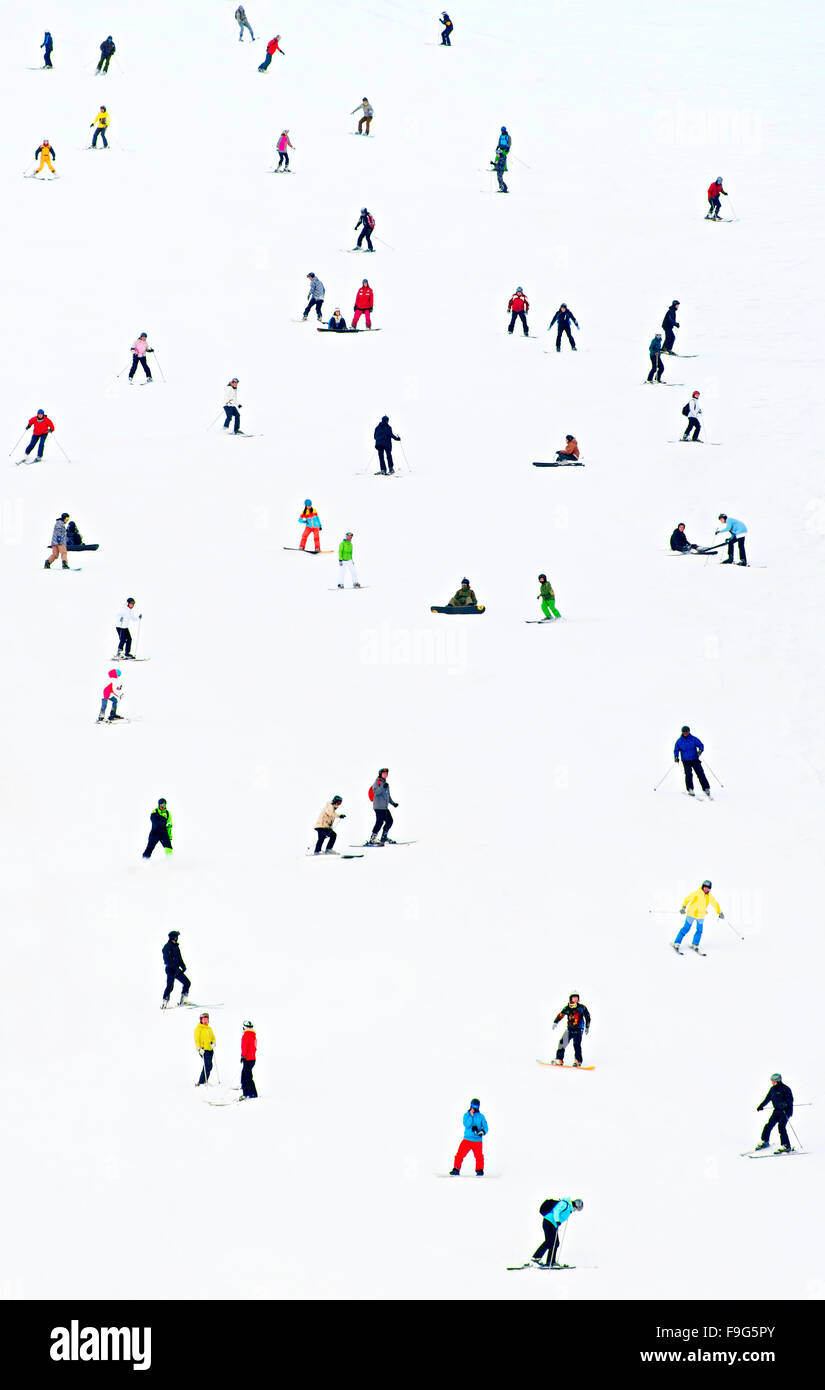 Viele Skifahrer und Snowboarder an einem Hang im Skigebiet Stockfoto