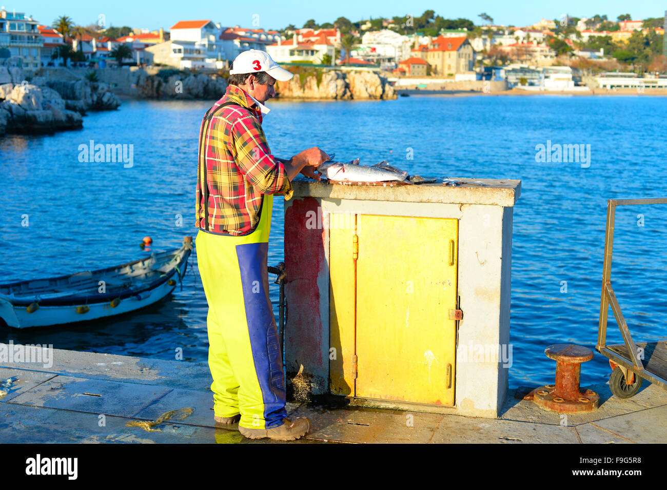Mann, die Reinigung der Fisch auf einem Pier in Cascais. Cascais ist eine Küstenstadt, 30 km von Lissabon. Portugal Stockfoto