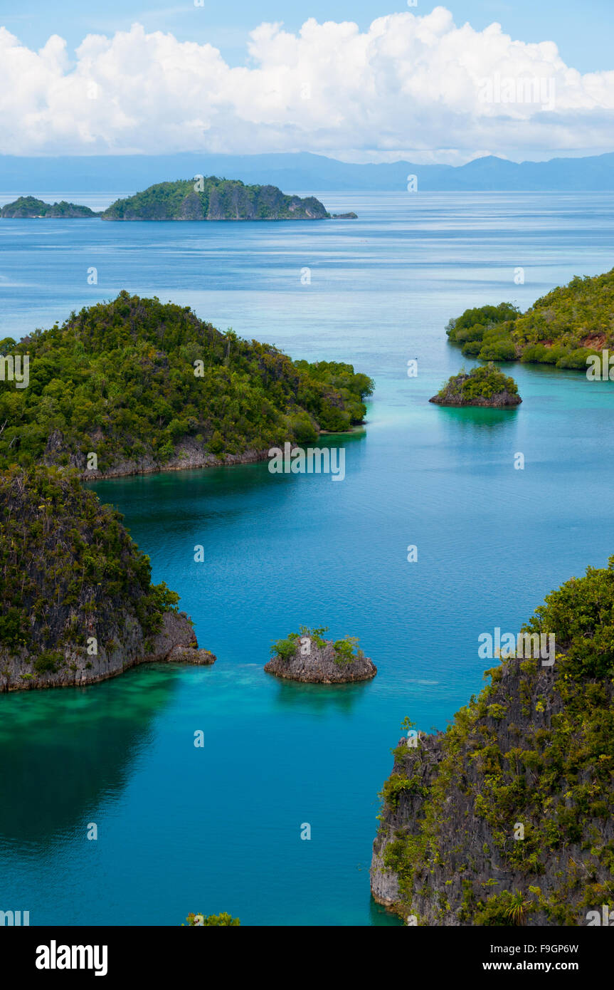 Kleine grüne Inseln gehören zu Fam-Insel im Meer von Raja Ampat, Papua-Neu-Guinea Stockfoto