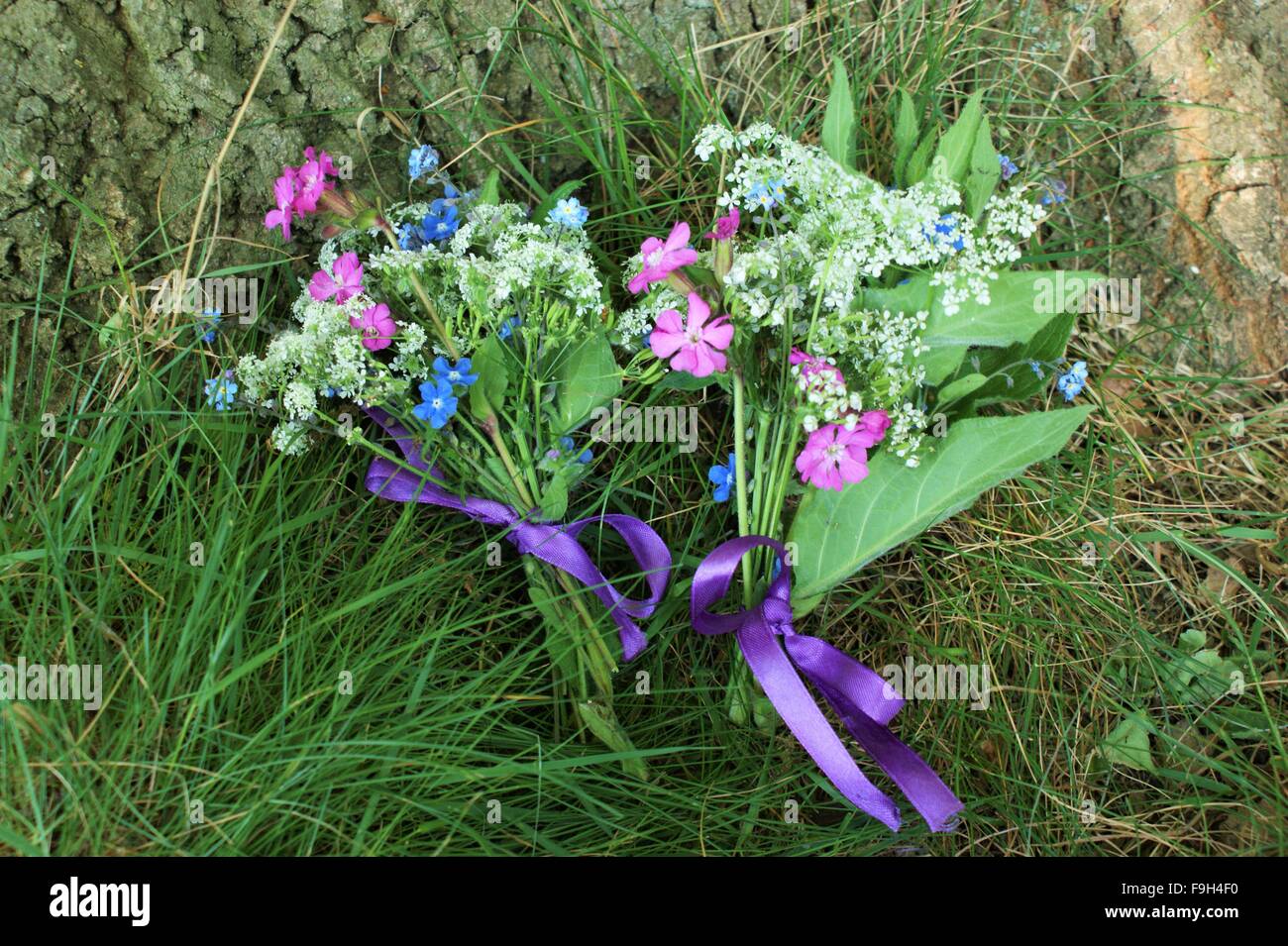 Trauben von Kräutern Stockfoto