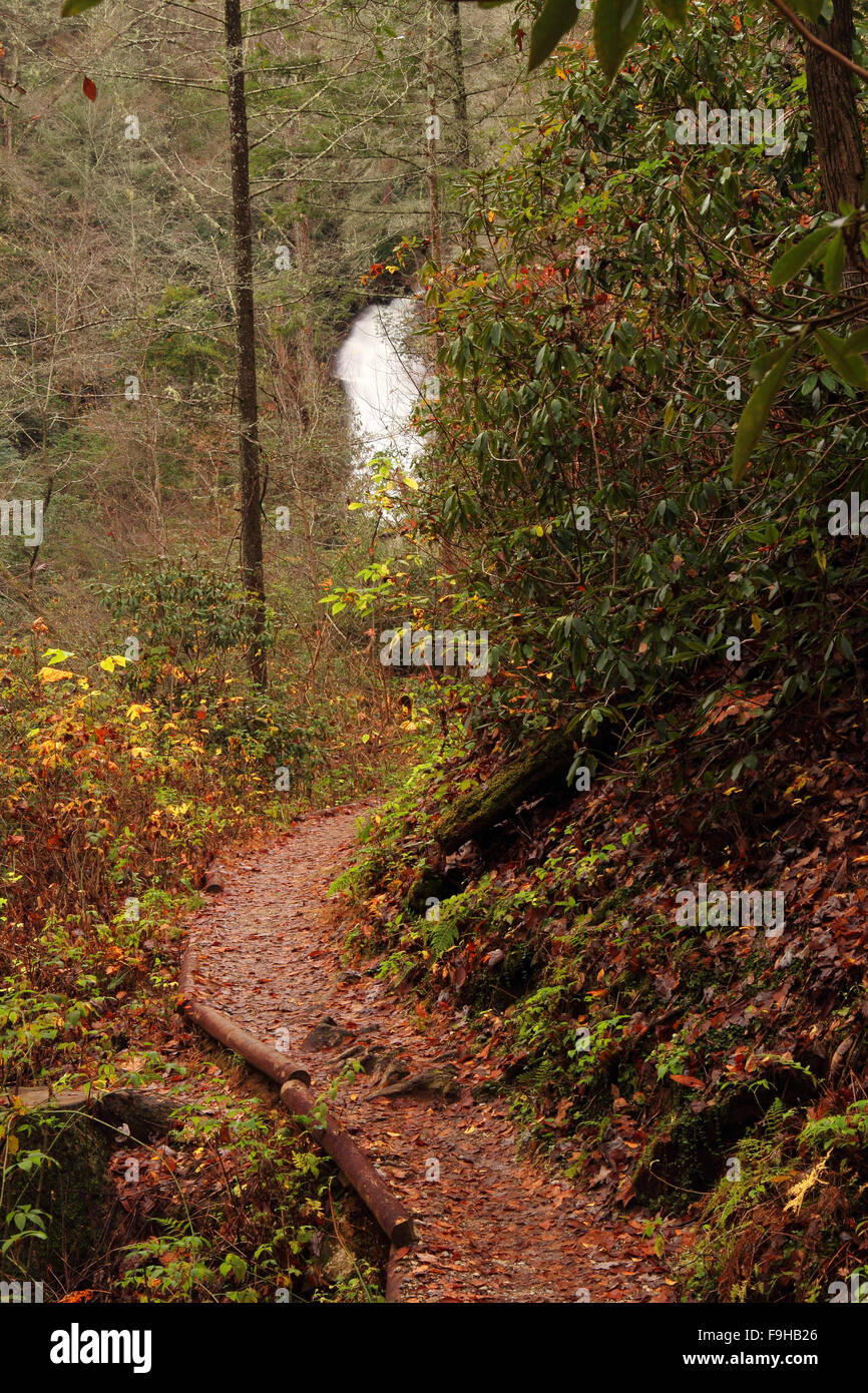 Trail zu den malerischen helton Creek Falls in der Chattahoochee National Forest Stockfoto