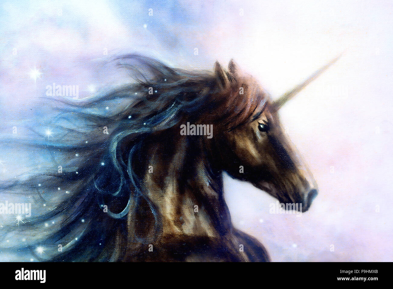 Pferd Schwarzes Einhorn Im Raum Illustration Abstrakt Farbe Hintergrund Profil Herrsche Stockfotografie Alamy