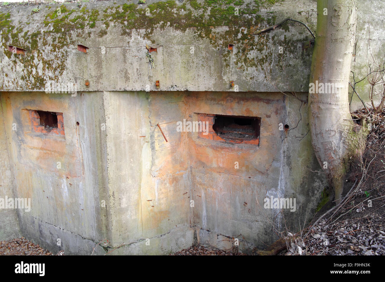 Lücken in der alten zerstörten Betonbunker Stockfoto