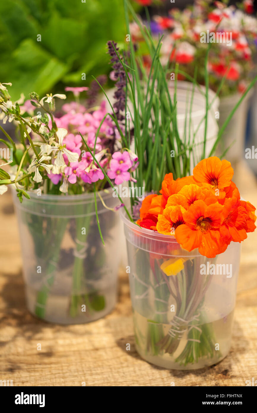 Blumen dienen als Garnierung auf bestimmte Speisen, Barbareno Restaurant, Santa Barbara, Kalifornien Stockfoto