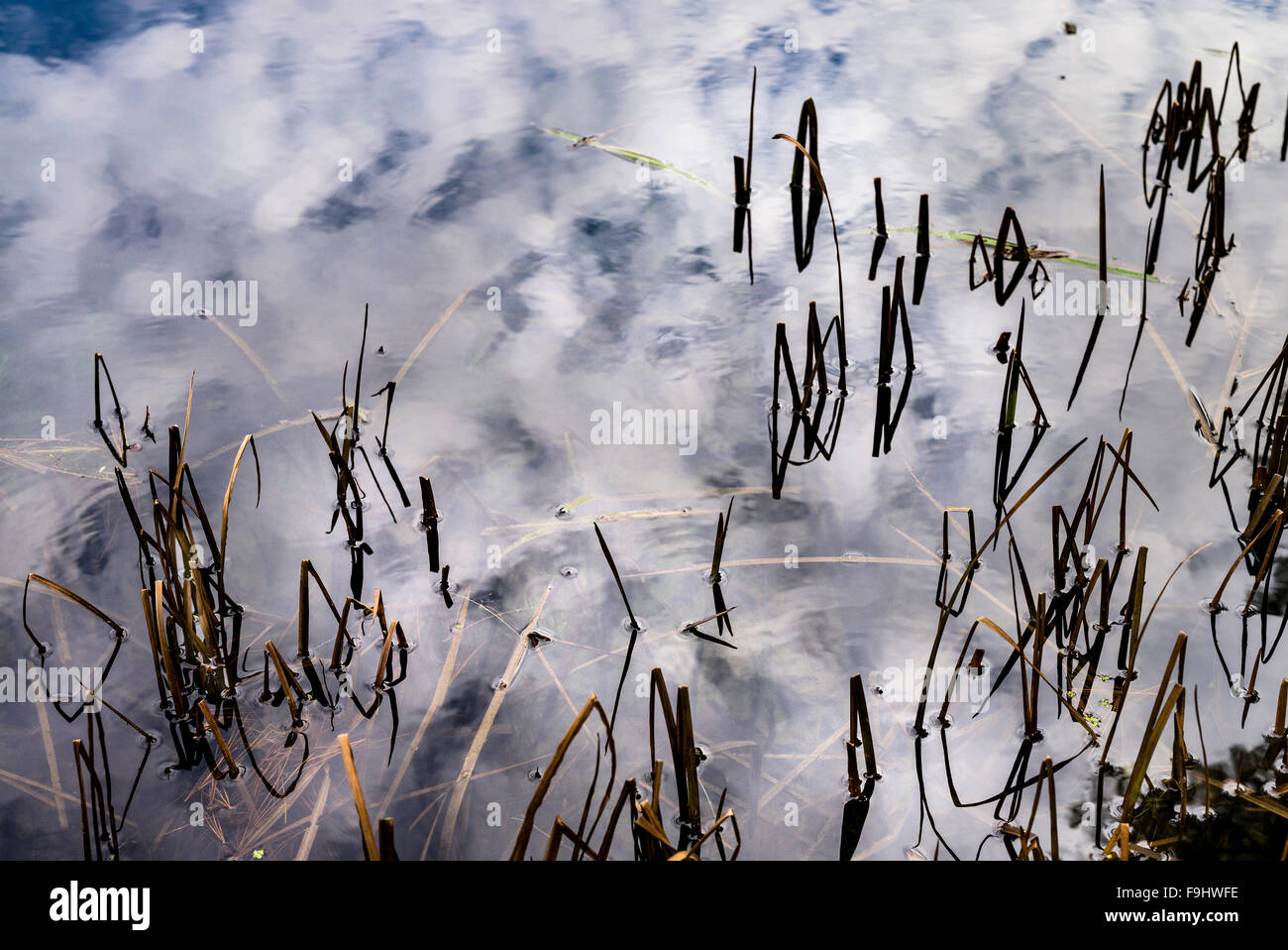 REDDING CONNECTICUT 06896 USA Stockfoto