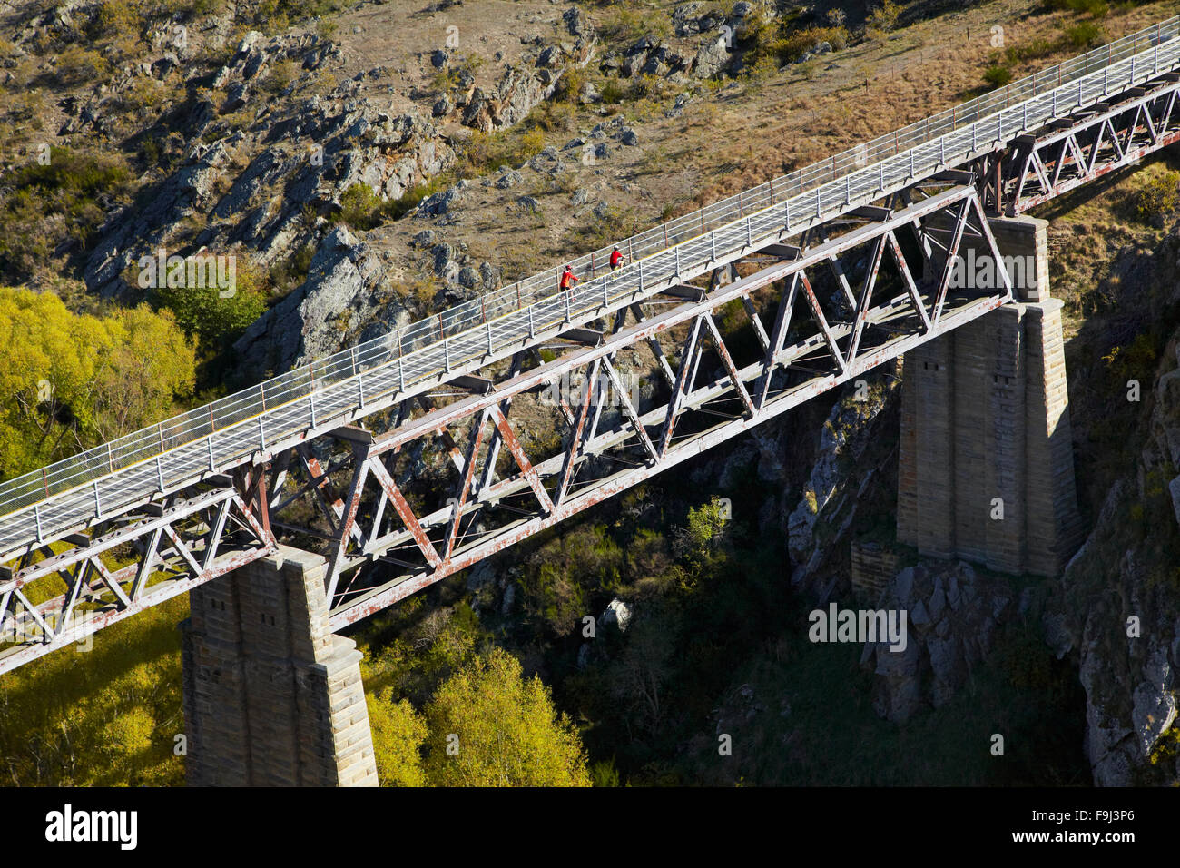 Radfahrer auf Poolburn-Viadukt, Poolburn Schlucht, Otago Central Rail Trail, Central Otago, Südinsel, Neuseeland Stockfoto