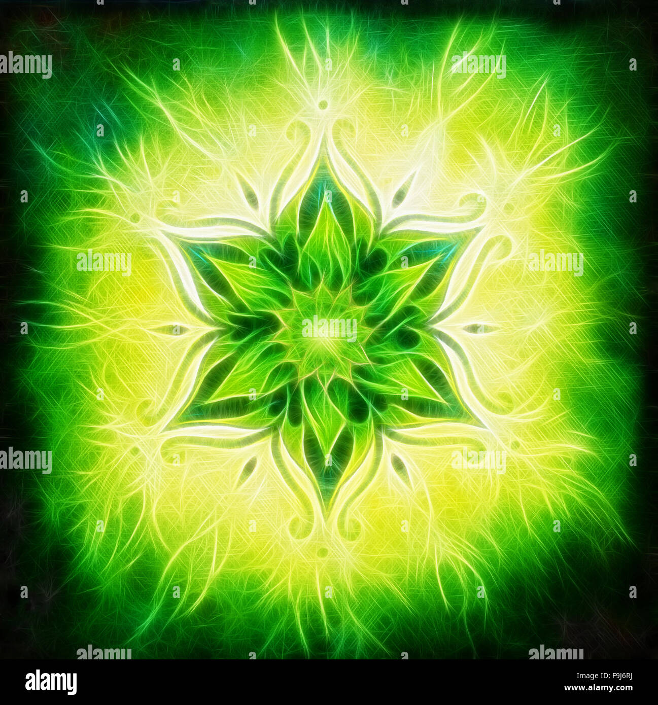 Blume Mandala auf einem grünen Hintergrund-Fraktal-Effekt Stockfoto
