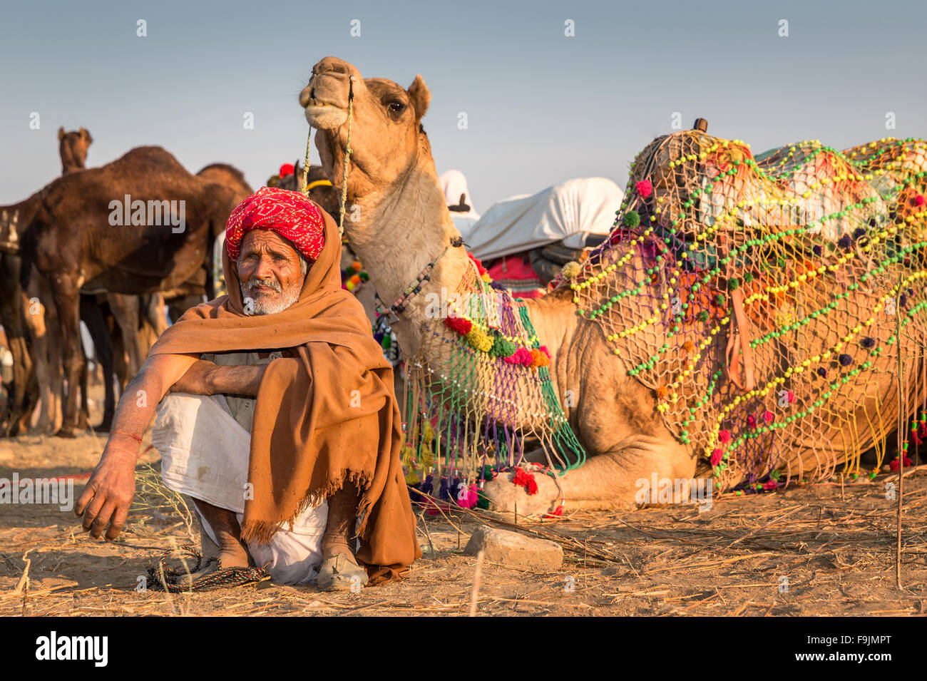 Portrait eines älteren Rajasthani vor seinem Kamele ruht, Pushkar Camel Fair, Rajasthan, Indien Stockfoto