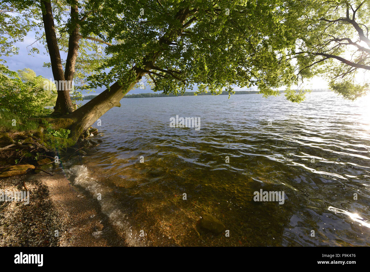 Jezioro drawsko Fotos und Bildmaterial in hoher Auflösung Alamy