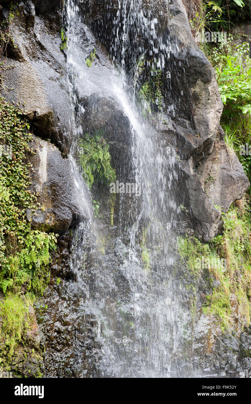 Wasserfall am Parque natural da Ribeira Dos Caldeirões, São Miguel, Azoren, portugal Stockfoto