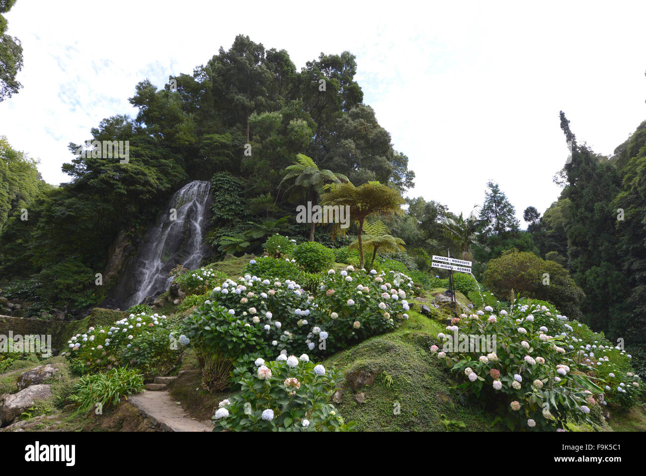Parque natural da Ribeira Dos Caldeirões, São Miguel, Azoren, portugal Stockfoto