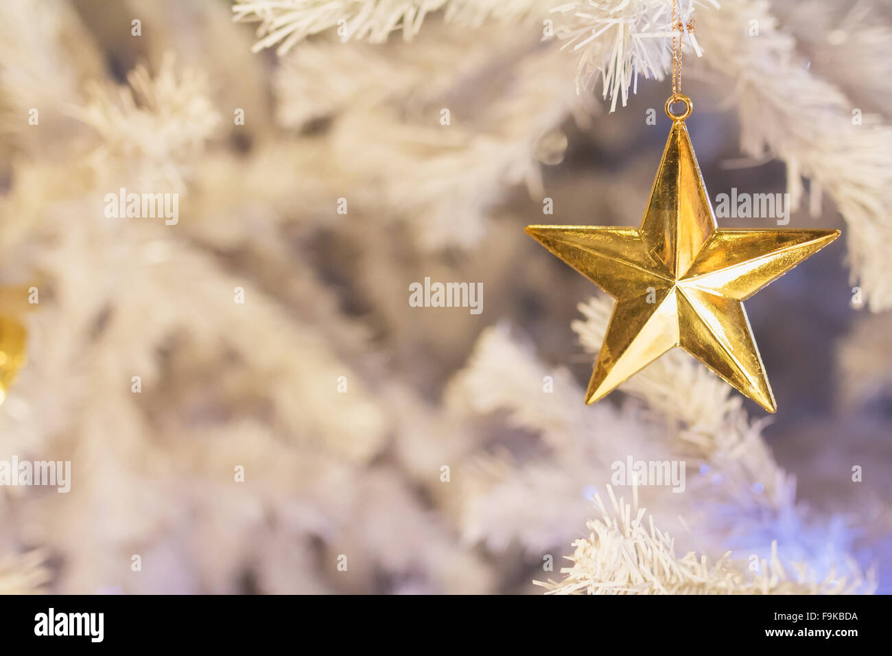 Goldener Stern und weißen Weihnachtsbaum Hintergrund. Stockfoto