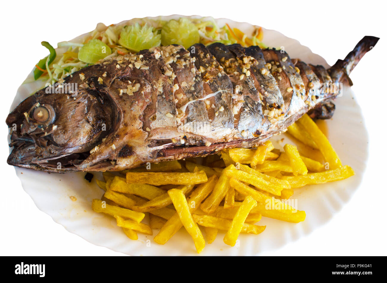 Fisch Gericht einen Thunfisch gebraten auf einem weißen Teller, Fisch, Thunfisch, auf einem weißen Teller, gebraten, Essen, Seefisch, ein Produkt, ein Gericht, Meeresfrüchte Stockfoto