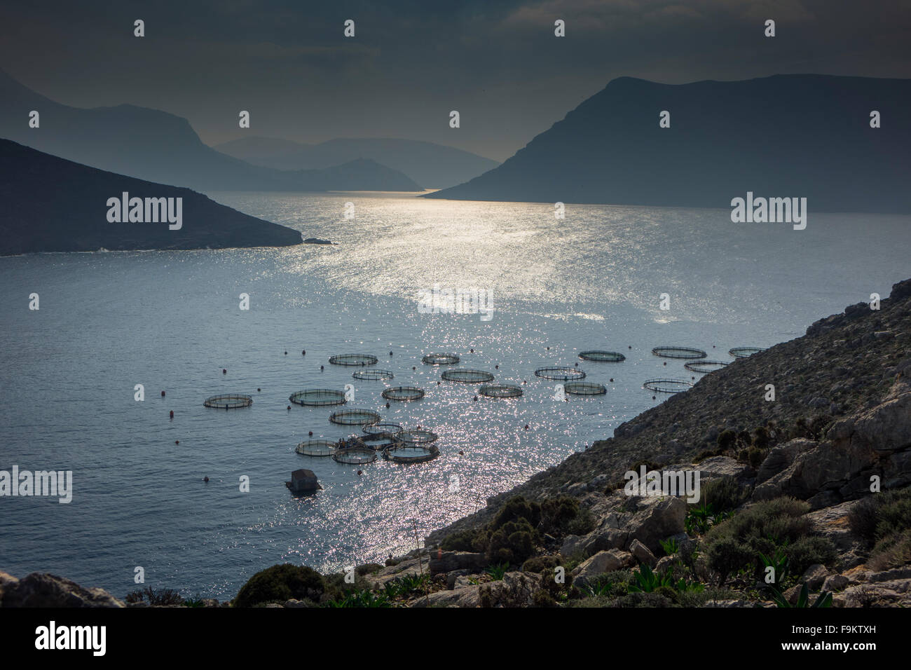 Fischfarm mit kreisförmigen Netze und schwimmenden Kabine mit schimmernden Meer vor Kalymnos, Griechenland Stockfoto