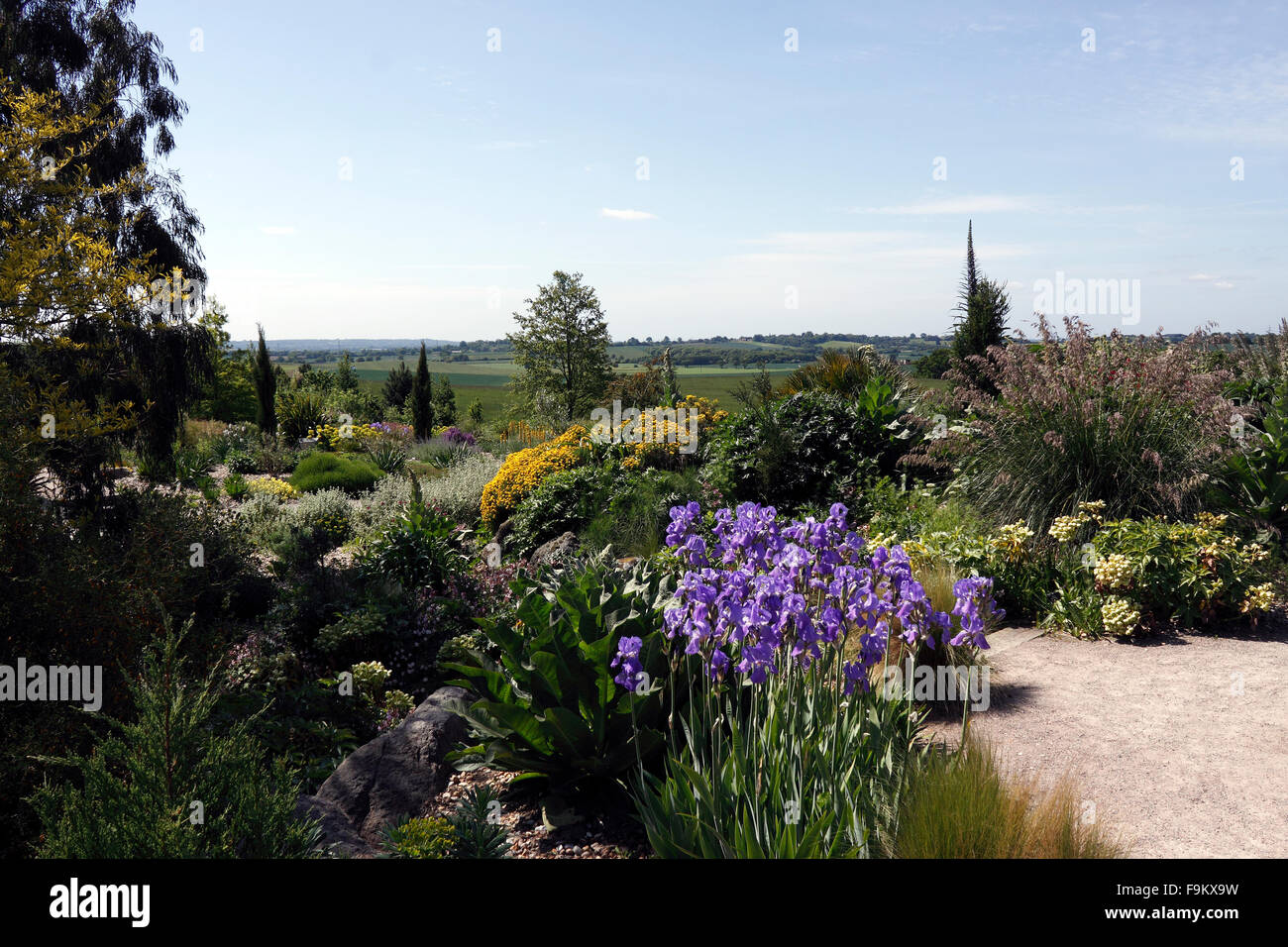 RHS HYDE HALL TROCKENGARTEN UND LANDSCHAFT. ESSEX UK. Stockfoto