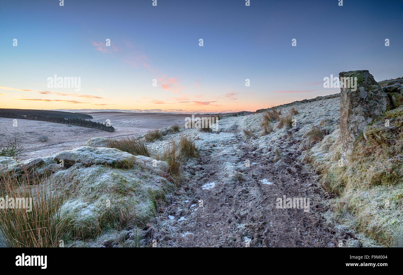 Einen frostigen Winter Sonnenaufgang auf Bodmin Moor in Cornwall Stockfoto Einen frostigen Winter Sonnenaufgang auf Bodmin Moor in Cornwall Stockfoto