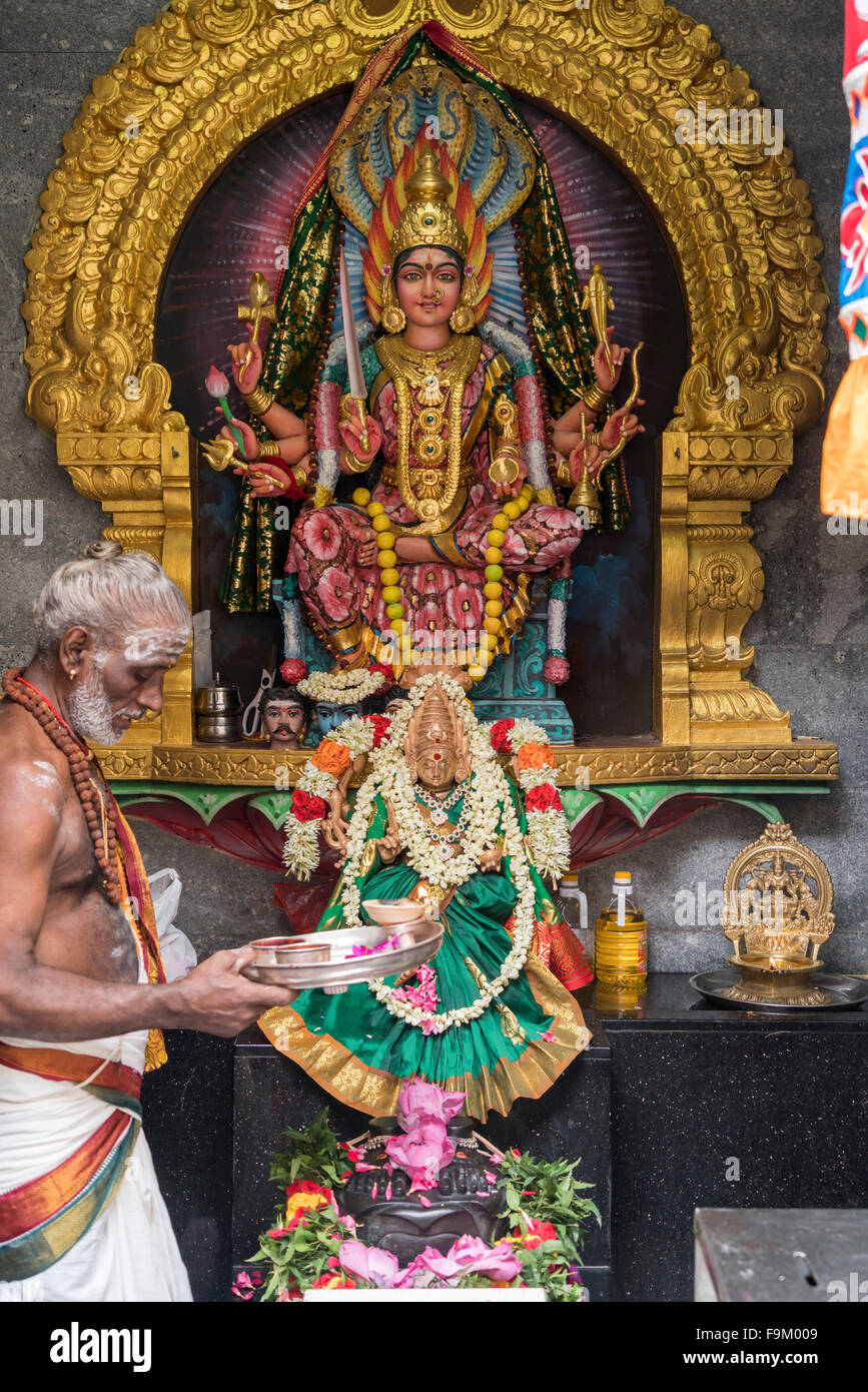 Hinduistische Gottheit und Priester, Sri Veeramakaliamman Hindu-Tempel, Singapur, Asien Stockfoto