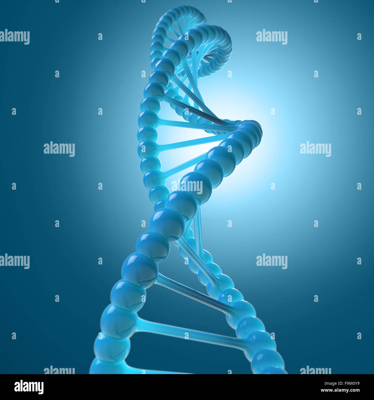 DNA-Molekül-Modell Stockfoto