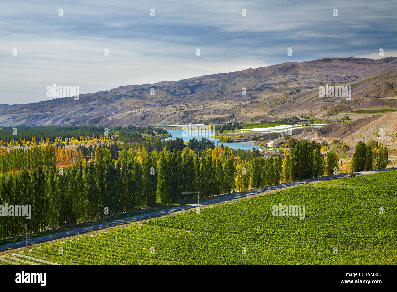 Mt Schwierigkeit Wein- und Obstgärten, Bannockburn, in der Nähe von Cromwell, Central Otago, Südinsel, Neuseeland Stockfoto