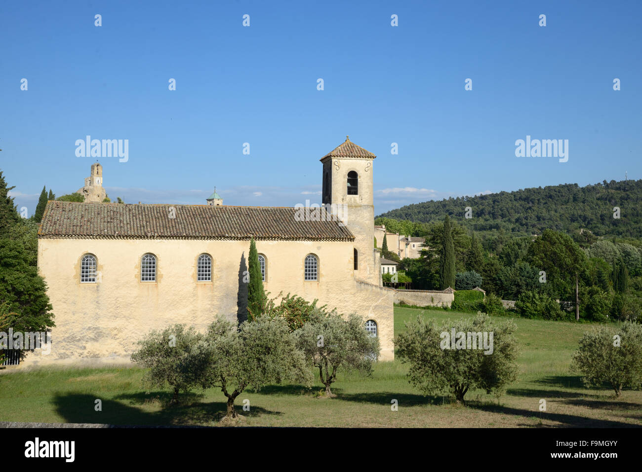 Evangelische Kirche & Olivenbäume oder Olive Grove Lourmarin in den Regionalpark Luberon Vaucluse Provence Frankreich Stockfoto