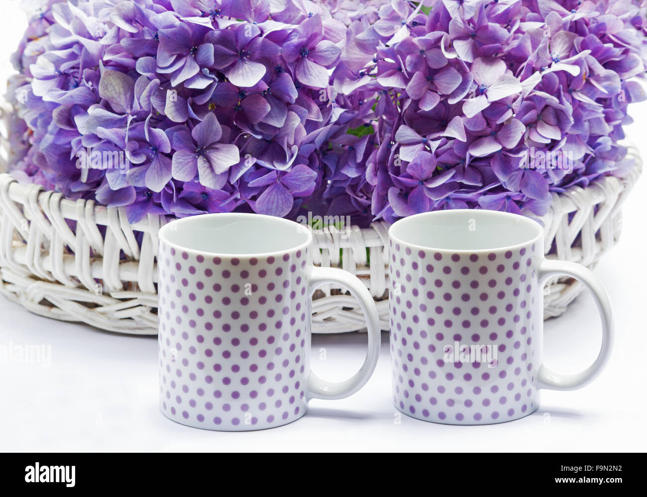 Hortensien in einem Korb auf weißem Hintergrund und zwei Kaffeetassen Stockfoto