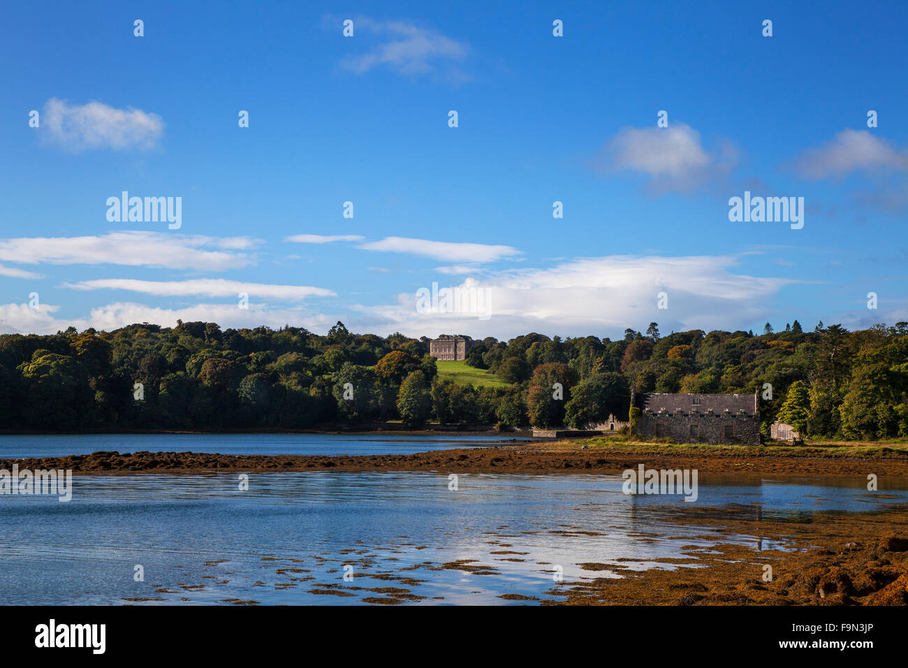 Fernen 18. Jahrhundert Castleward am Ufer des Strangford Lough, County Down, Nordirland Stockfoto