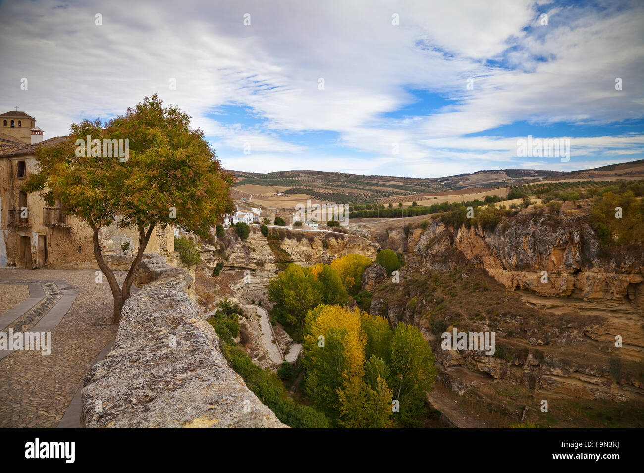 Ulmen im Herbst in die Tajo oder Canyon unterhalb Alhama de Granada, Provinz Granada, Spanien Stockfoto