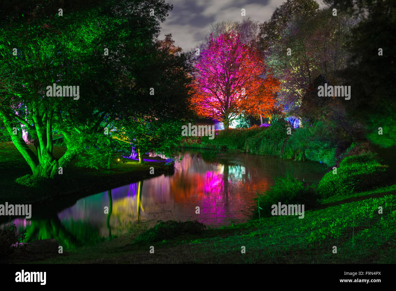 Die schönen verzauberte Wald in Syon Park, London. Stockfoto