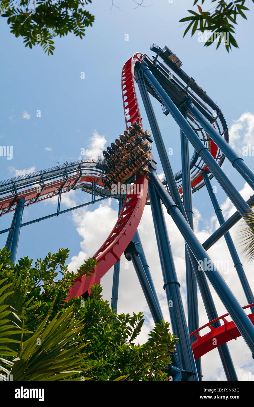 Achterbahn In Busch Gardens Florida Usa Stockfoto Bild