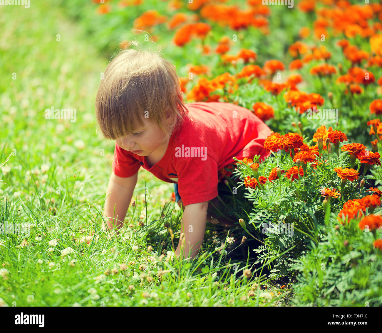 Kleiner Junge kriecht auf allen Vieren im Rasen Stockfoto