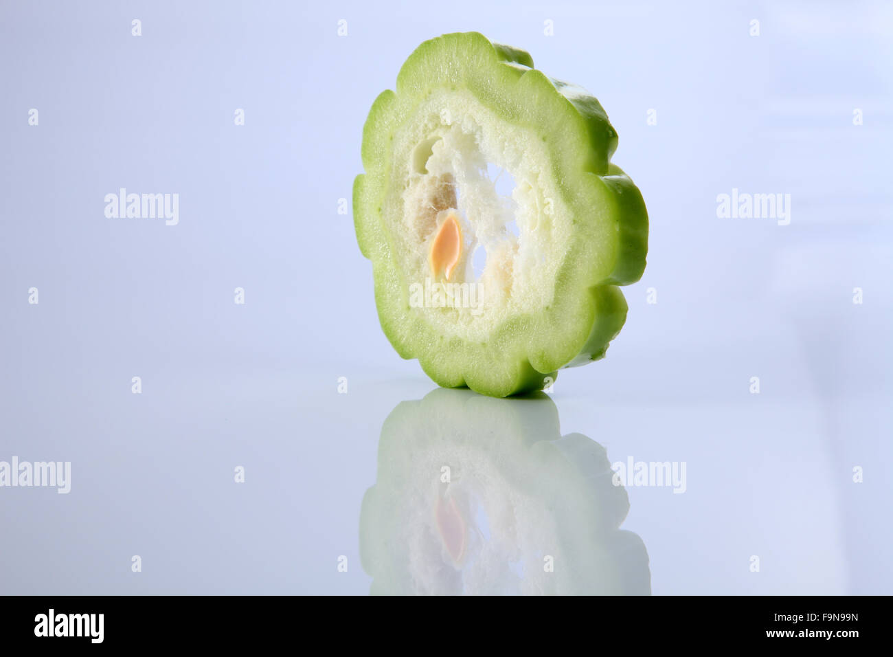 Scheiben der Gitter-Garde auf weißem Hintergrund Stockfoto