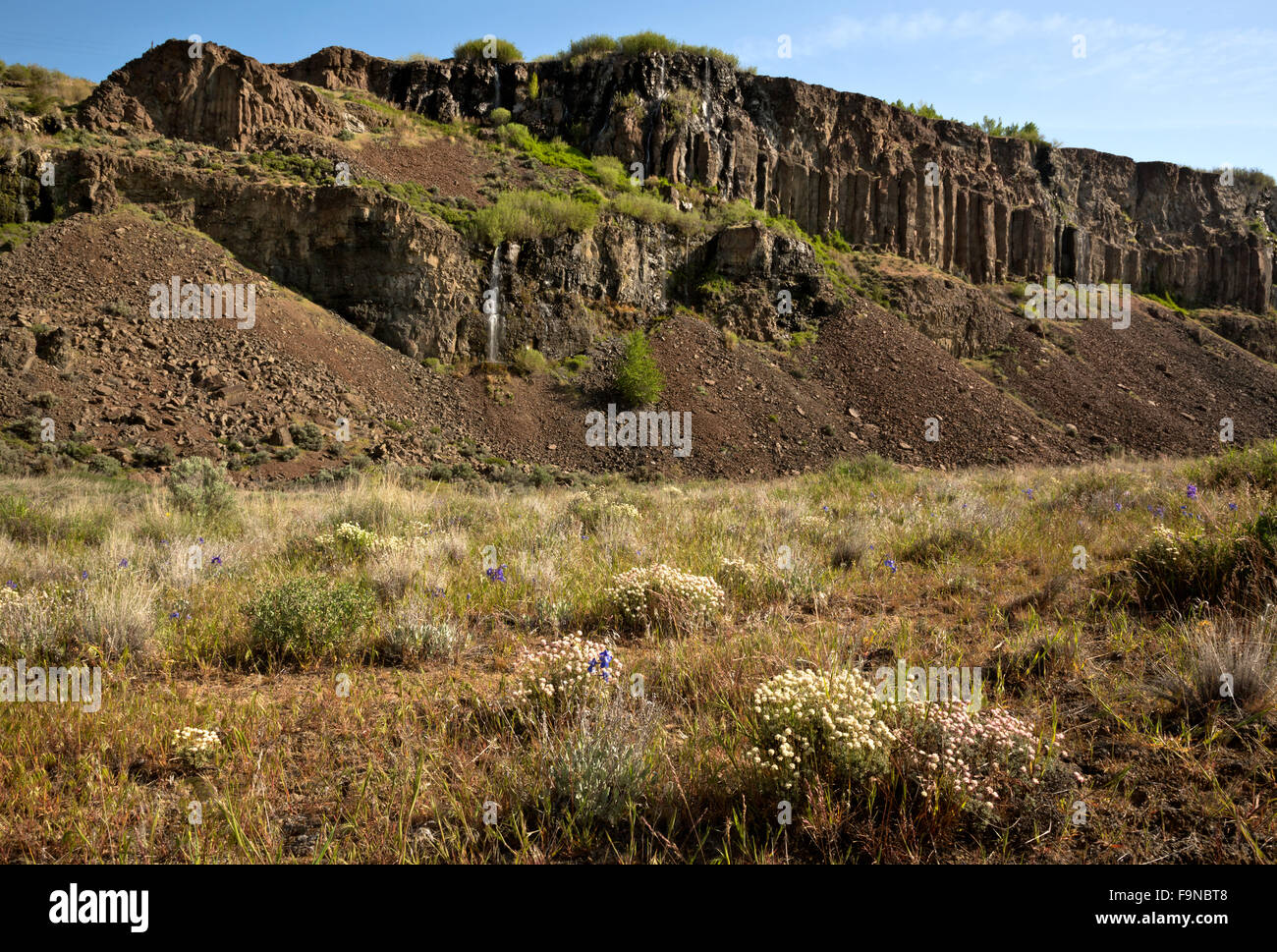 WASHINGTON - kleine, saisonale, Wasserfall absteigend die säulenförmigen Basaltfelsen zu den Wiesen des alten Seen Beckens. Stockfoto