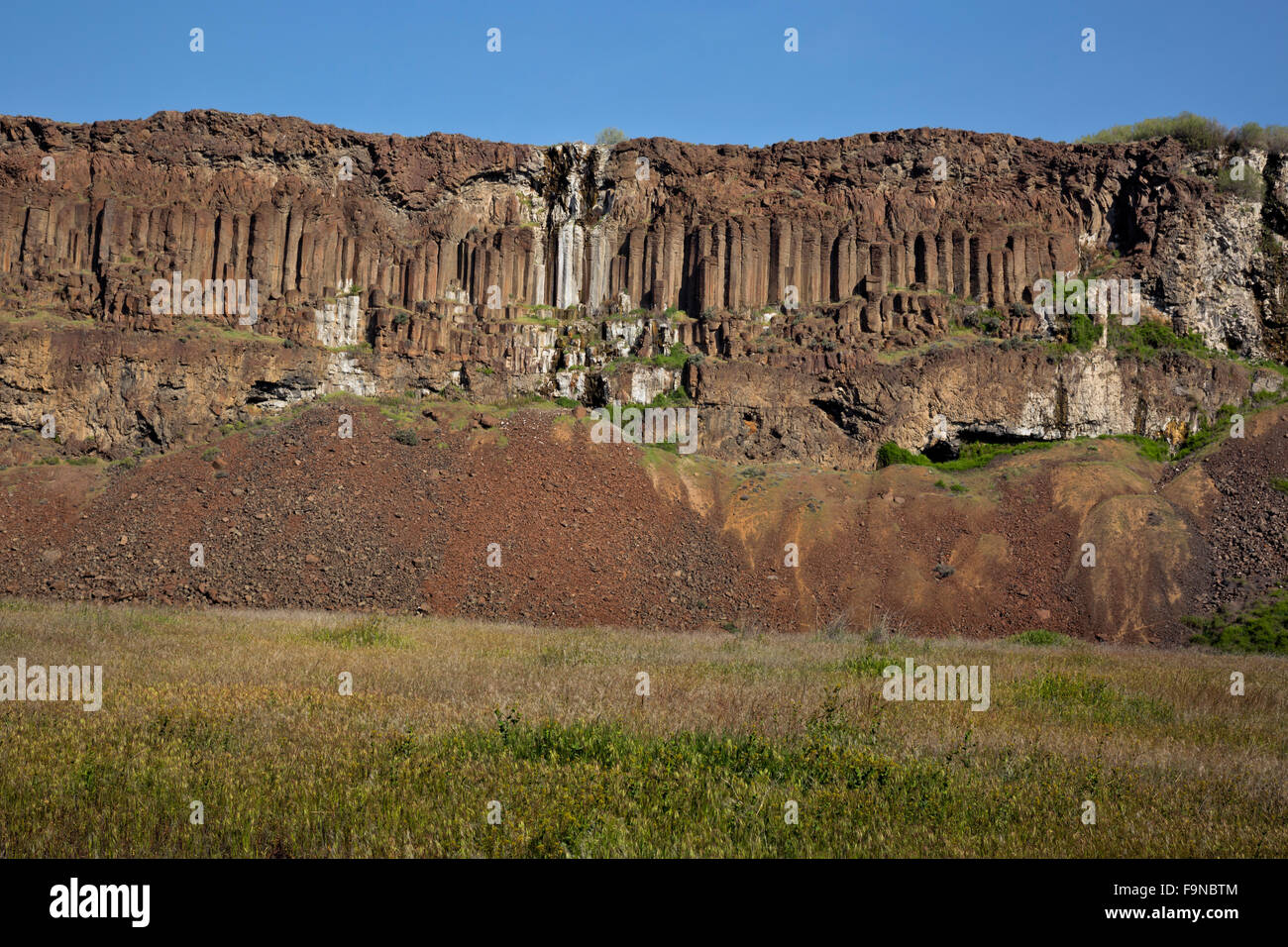 WA12375-00... WASHINGTON - säulenförmigen Basalt an Klippen oberhalb des alten Seen-Beckens in Quincy Wildlife Recreation Area. Stockfoto